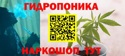 ECSTASY Гусь-Хрустальный