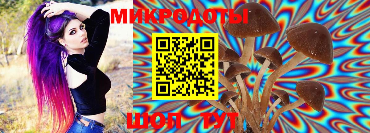 Галлюциногенные грибы прущие грибы  Вход с VPN  Псилоцибиновые грибы Psilocybe  Канск 