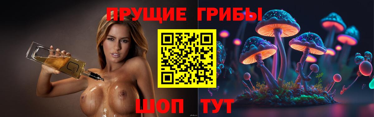 Псилоцибиновые грибы мицелий Канск